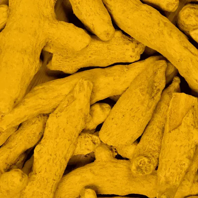 Turmeric
